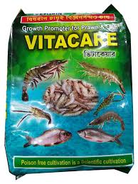 Vitacare 1000 GM India J.C Biotch