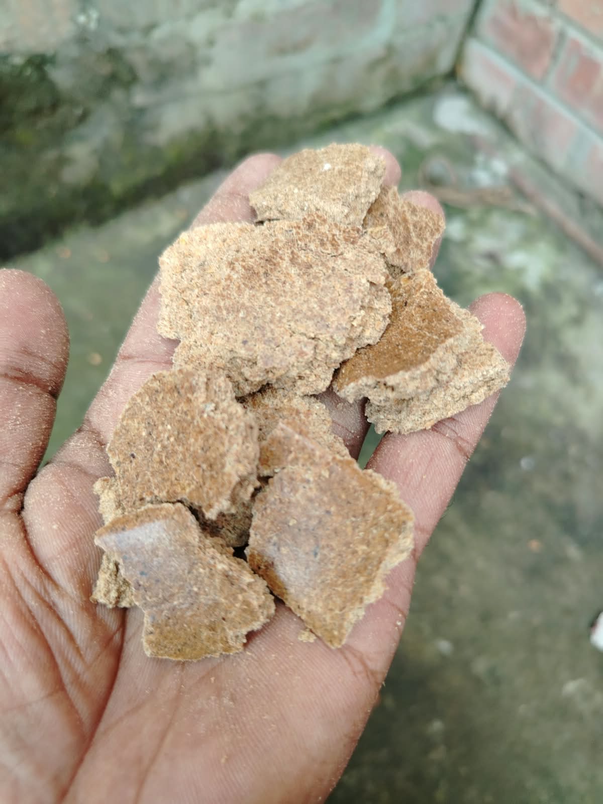 Peanut cake (বাদাম খৈল) 37KG